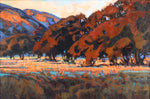 Bill Gallen - Dragoon Oaks at Twilight