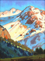 Bill Gallen - Alpine Patterns - Crested Butte